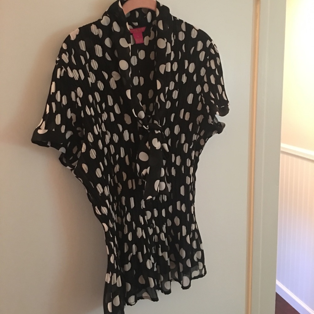 Sunny Leigh Blouse 1X
